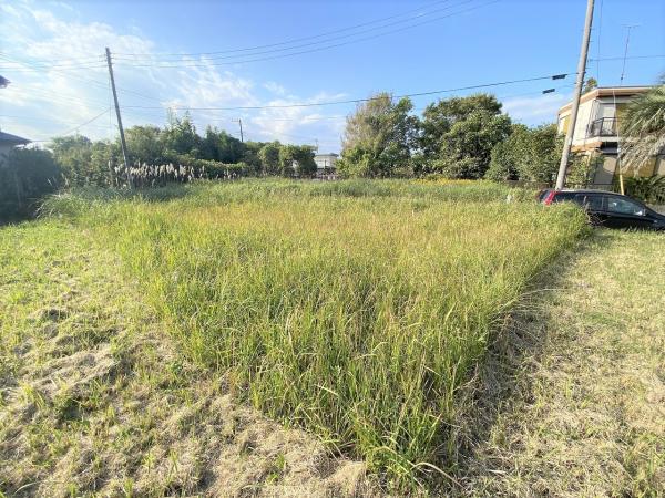 山武郡横芝光町宮川　土地 現地土地写真 