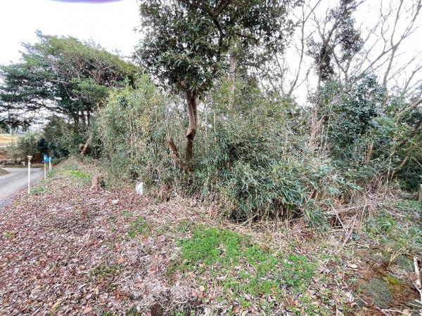 旭市倉橋　土地 現地土地写真 