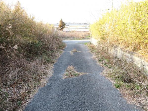 山武郡横芝光町木戸　土地 前面道路含む現地写真 