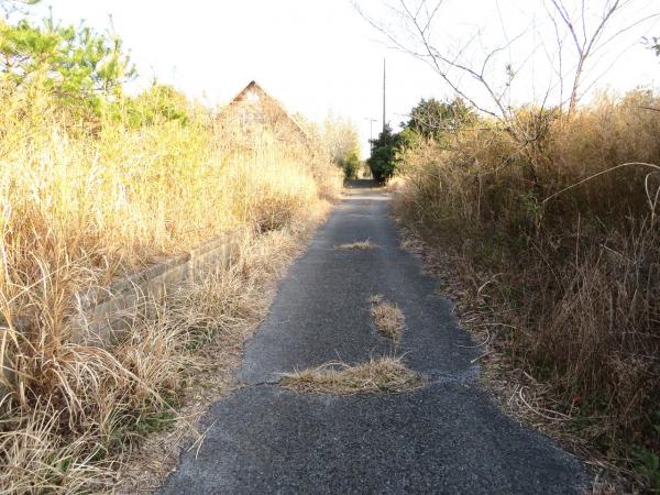 山武郡横芝光町木戸　土地 前面道路含む現地写真 