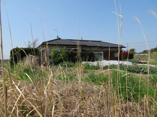 山武郡横芝光町屋形　土地 現地土地写真 