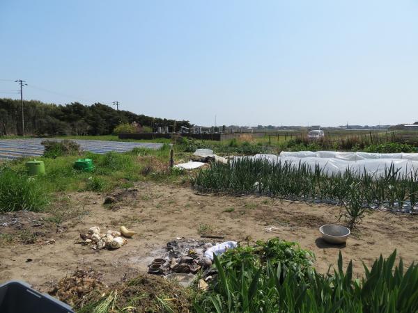 山武郡横芝光町屋形　土地 現地土地写真 