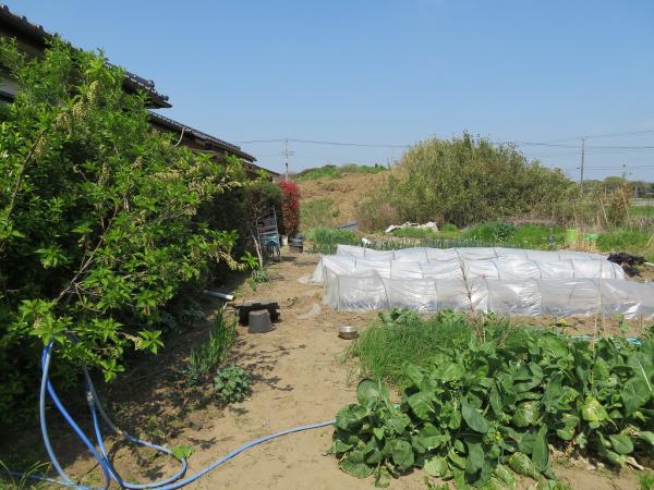 山武郡横芝光町屋形　土地 現地土地写真 