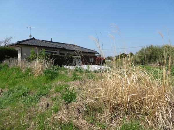 山武郡横芝光町屋形　土地 現地土地写真 