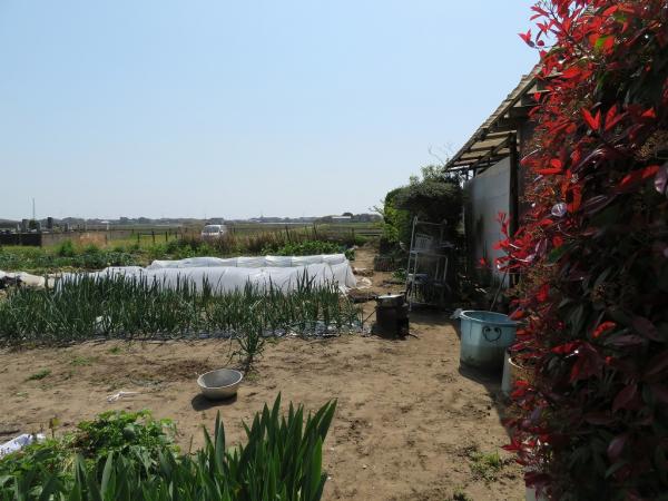 山武郡横芝光町屋形　土地 現地土地写真 