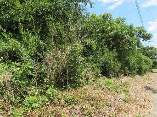 山武市松尾町高富　土地 現地土地写真 