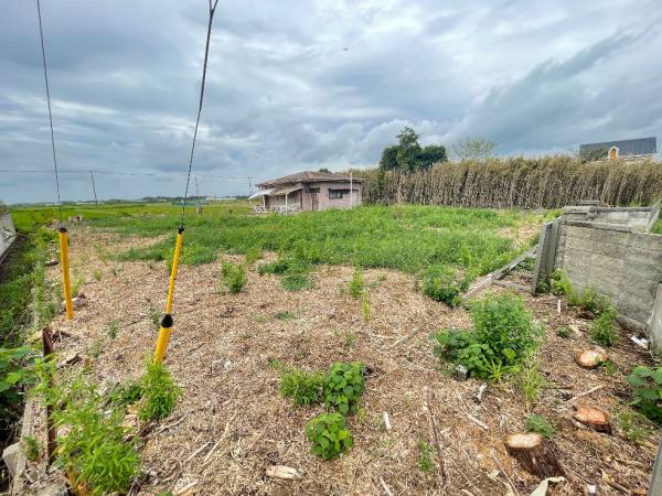 旭市神宮寺　土地 現地土地写真 