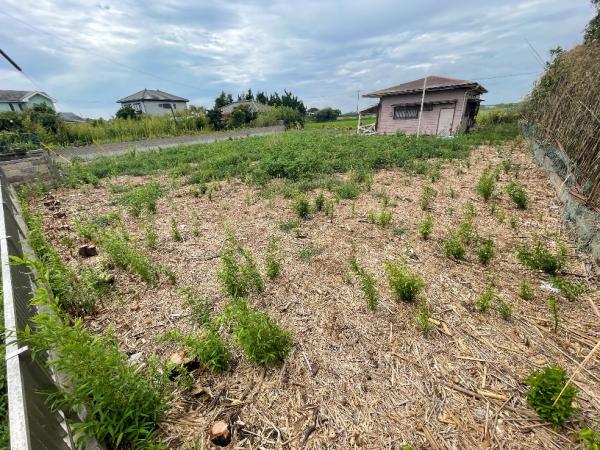 旭市神宮寺　土地 現地土地写真 