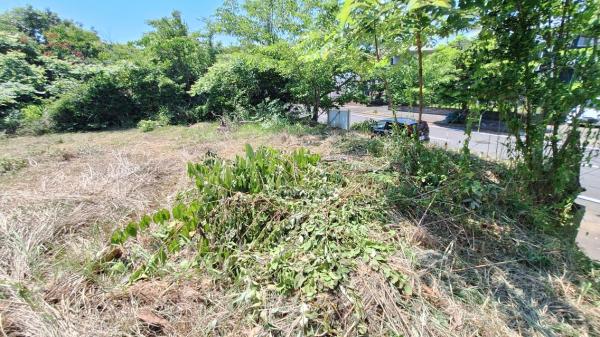 銚子市豊里台1丁目　土地 現地土地写真 