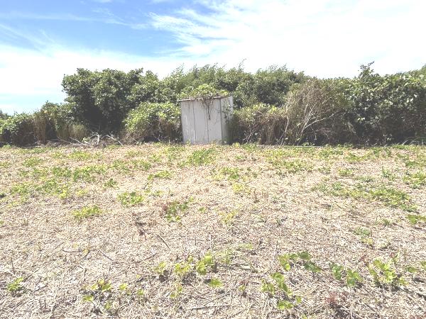 山武郡横芝光町木戸　土地 