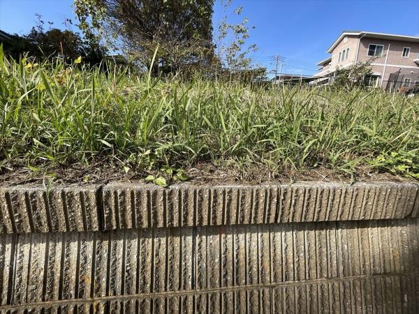 山武市大木　土地 現地土地写真 