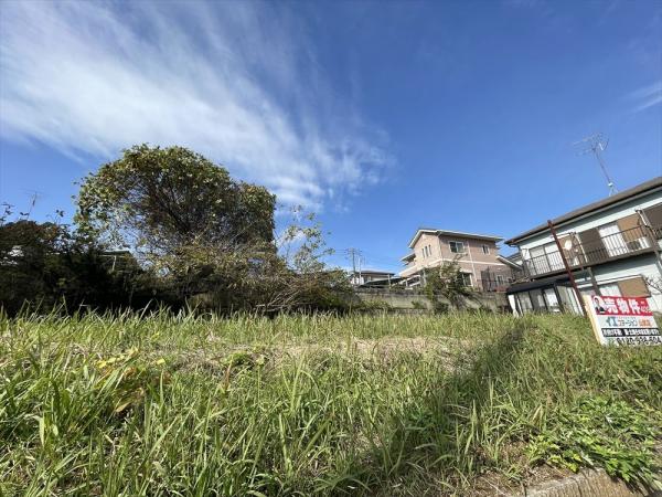 山武市大木　土地 現地土地写真 