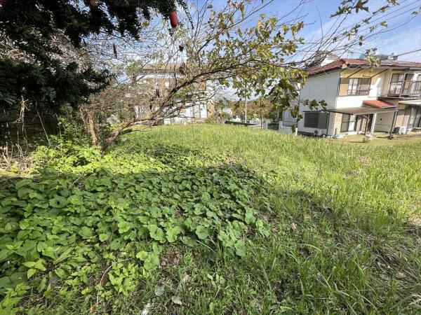 山武市大木　土地 現地土地写真 