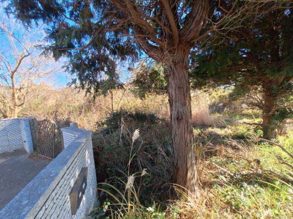 銚子市柴崎町1丁目　土地 現地土地写真 
