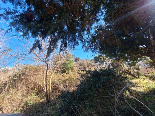 銚子市柴崎町1丁目　土地 現地土地写真 