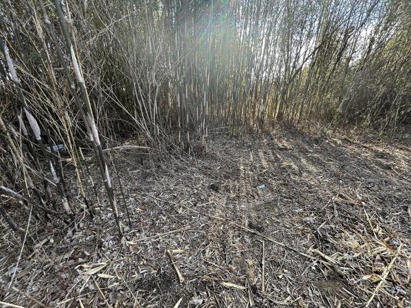 山武郡横芝光町栗山　土地 現地土地写真 