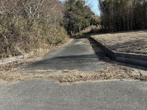 山武郡横芝光町栗山　土地 前面道路含む現地写真 