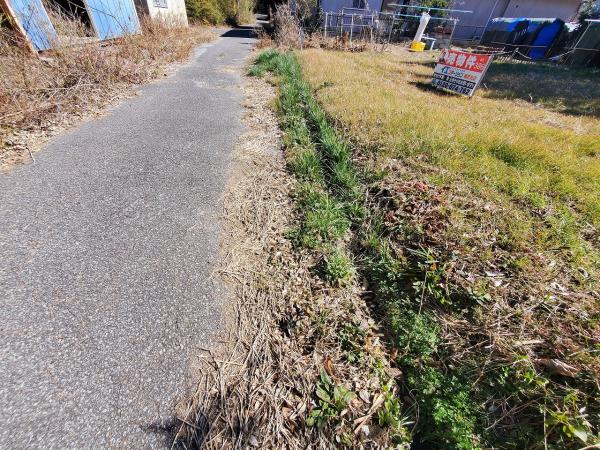 山武郡横芝光町宮川　土地 前面道路含む現地写真 