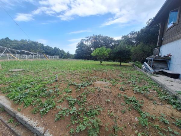 銚子市豊里台1丁目　土地 現地土地写真 