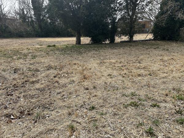 山武郡横芝光町宮川　土地 現地土地写真 