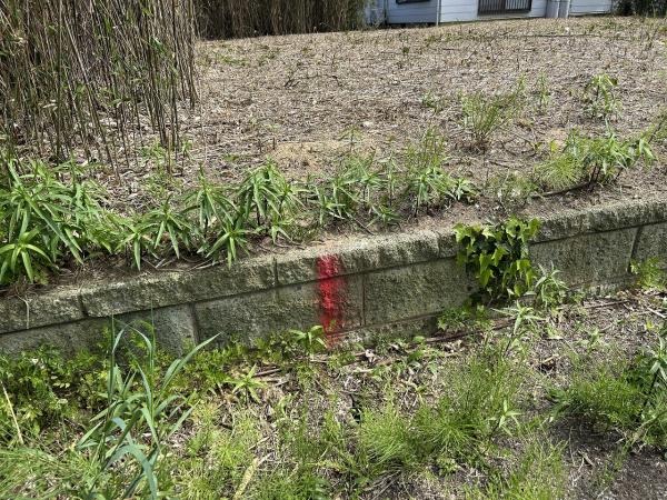 山武郡横芝光町屋形　土地 現地土地写真 