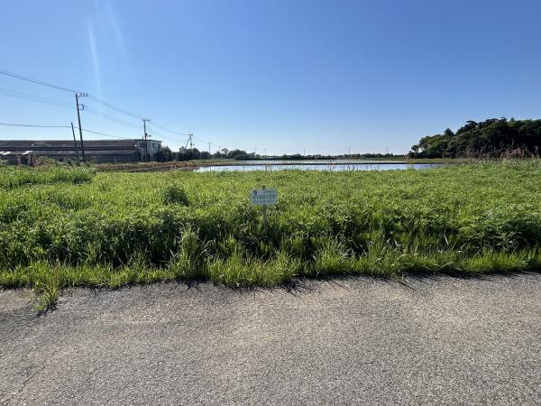 山武郡横芝光町宮川　土地 現地土地写真 