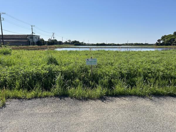 山武郡横芝光町宮川　土地 現地土地写真 