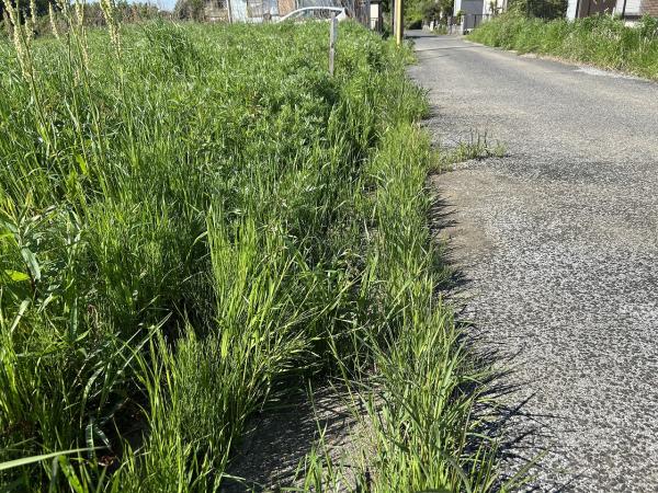 山武郡横芝光町宮川　土地 現地土地写真 