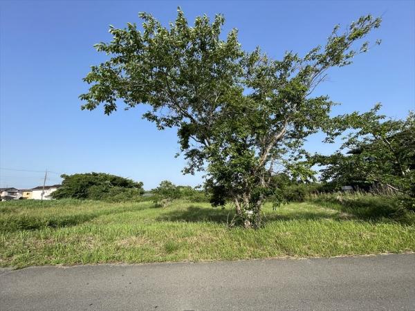 土地 山武郡横芝光町北清水 JR総武本線横芝駅 300万円