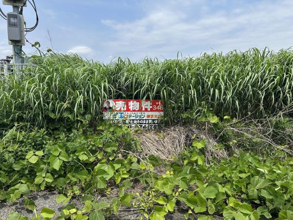 土地 山武郡横芝光町木戸 JR総武本線横芝駅 59万円