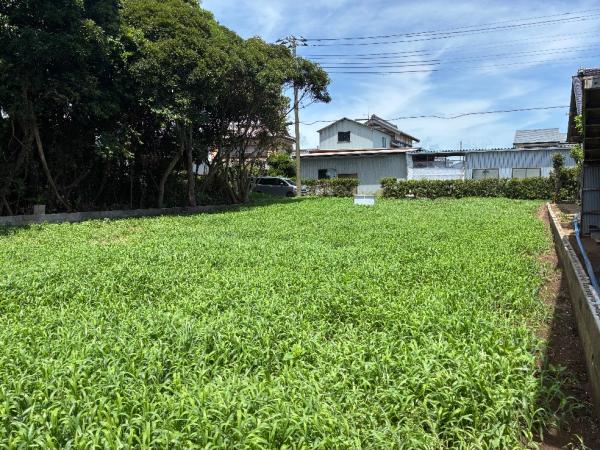 旭市東足洗　土地 現地土地写真 