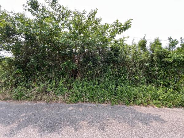 土地 旭市三川 JR総武本線飯岡駅 290万円