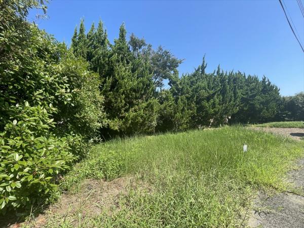 山武郡横芝光町屋形　土地 現地土地写真 