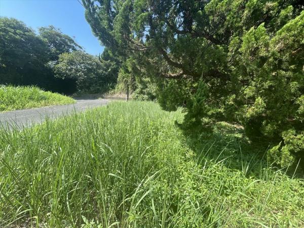 山武郡横芝光町屋形　土地 現地土地写真 