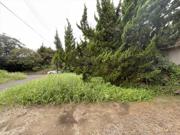 山武郡横芝光町屋形　土地 現地土地写真 