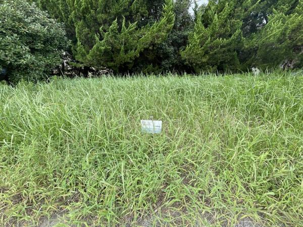 山武郡横芝光町屋形　土地 現地土地写真 