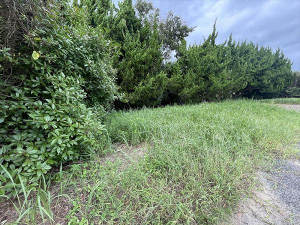 山武郡横芝光町屋形　土地 現地土地写真 