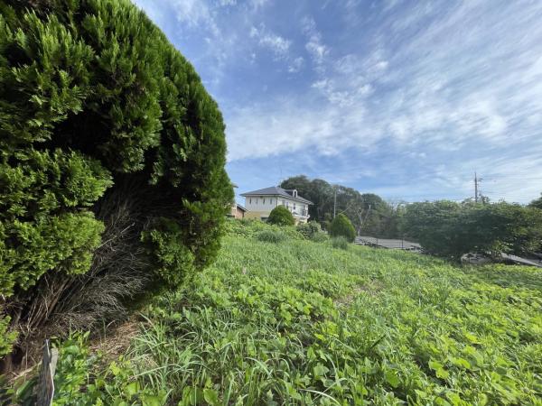 山武郡横芝光町北清水　土地 現地土地写真 
