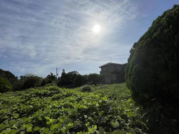 山武郡横芝光町北清水　土地 現地土地写真 