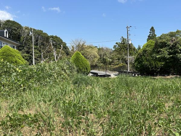 山武郡横芝光町北清水　土地 現地土地写真 