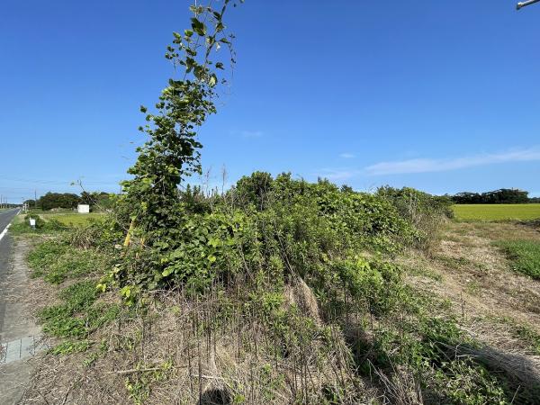 山武郡横芝光町屋形　土地 現地土地写真 