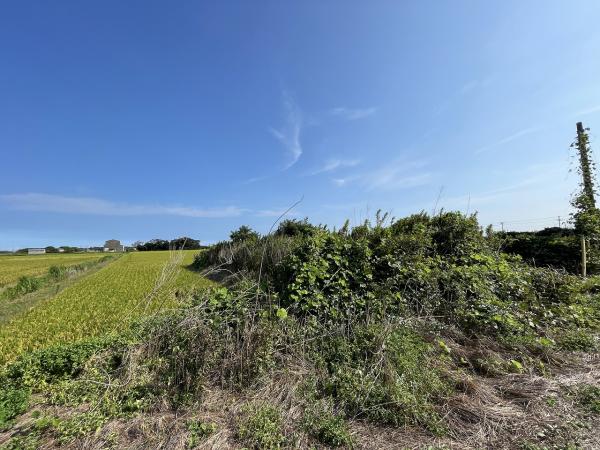 山武郡横芝光町屋形　土地 現地土地写真 