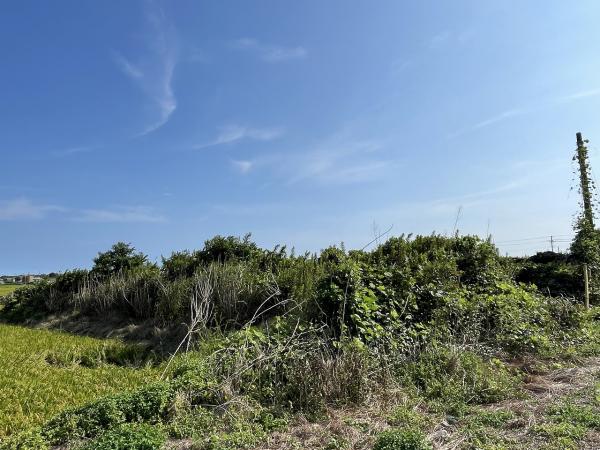 山武郡横芝光町屋形　土地 現地土地写真 