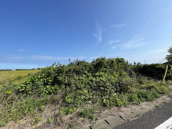 山武郡横芝光町屋形　土地 現地土地写真 
