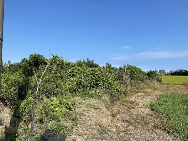 山武郡横芝光町屋形　土地 現地土地写真 