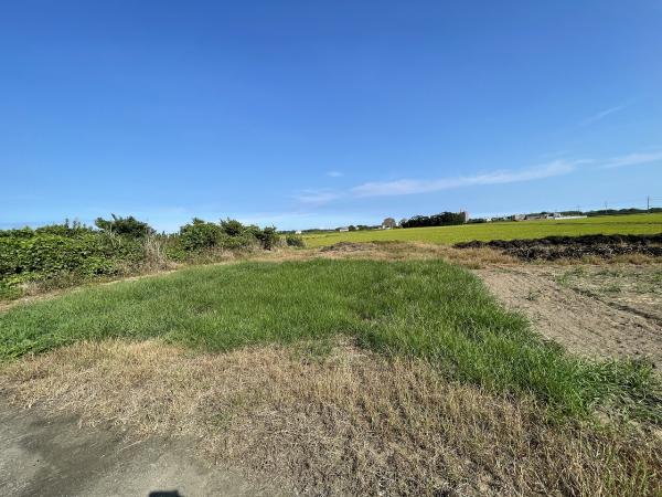 山武郡横芝光町屋形　土地 現地土地写真 