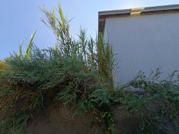 銚子市松本町1丁目　土地 現地土地写真 