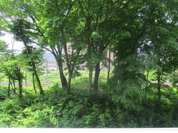 グランジュール新札幌ノースヒル 住戸からの眺望写真 
