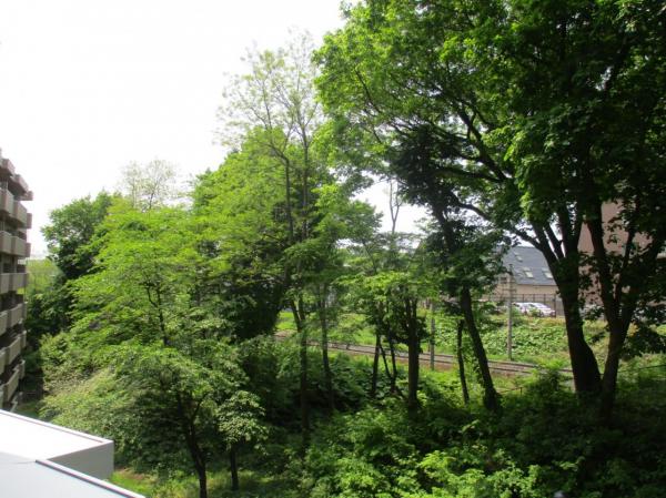 グランジュール新札幌ノースヒル 住戸からの眺望写真 