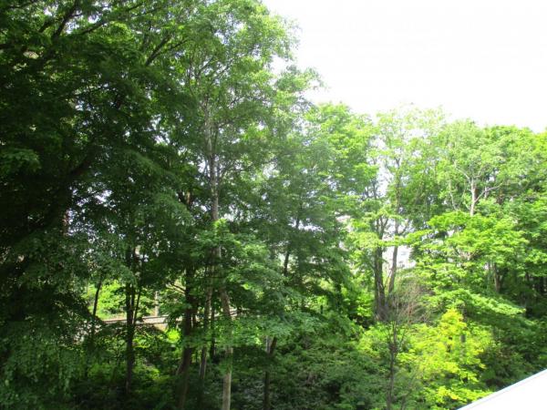 グランジュール新札幌ノースヒル 住戸からの眺望写真 